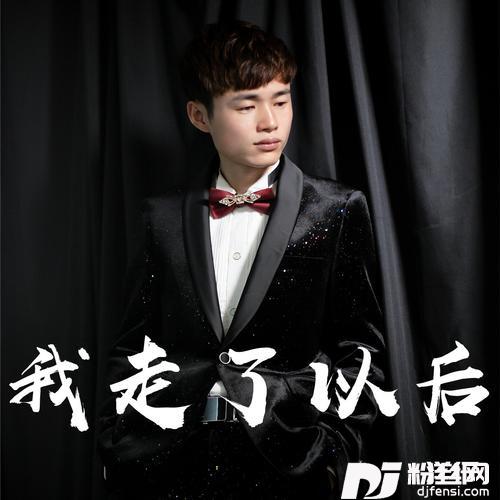 我走了以后舞曲版Remix