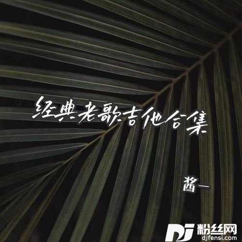 爱如潮水吉他版的专辑