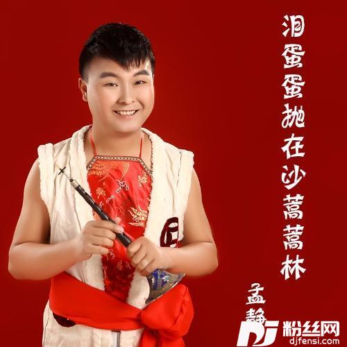 泪蛋蛋抛在沙蒿蒿林