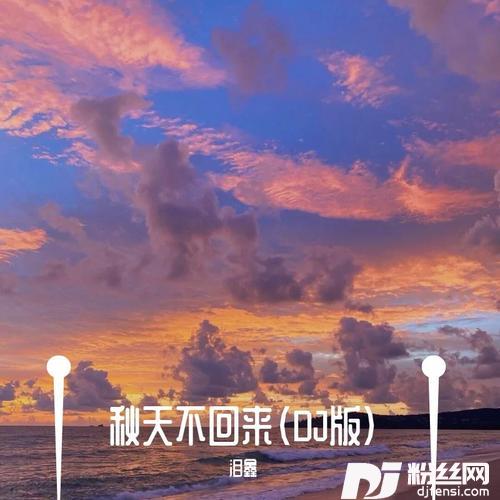 秋天不回来DJ版