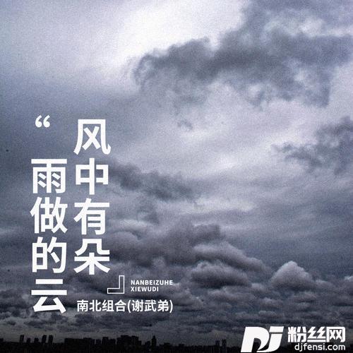 风中有朵雨做的云的专辑