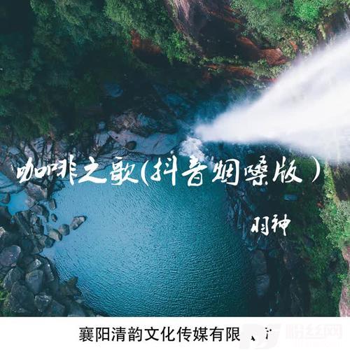 奈何岁月（烟嗓版）