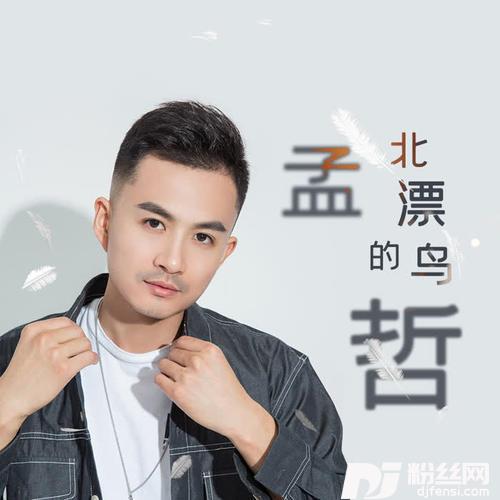 北漂的鸟