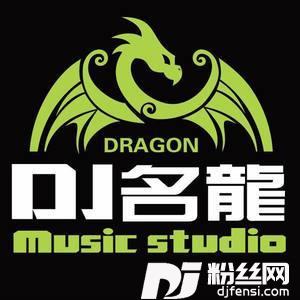 忘川彼岸DJ名龙版的专辑