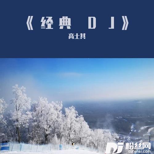 犯错DJ版