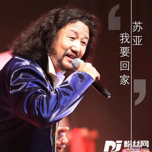 我要回家新版