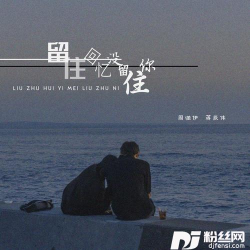 留住回忆没留住你