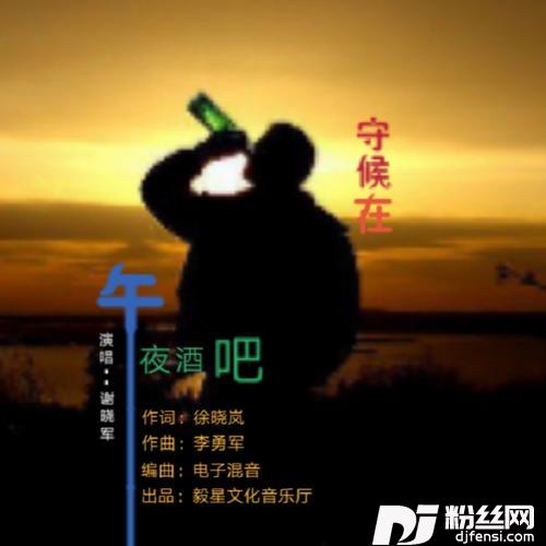 守候在午夜酒吧〔dj版〕cover:谢晓军