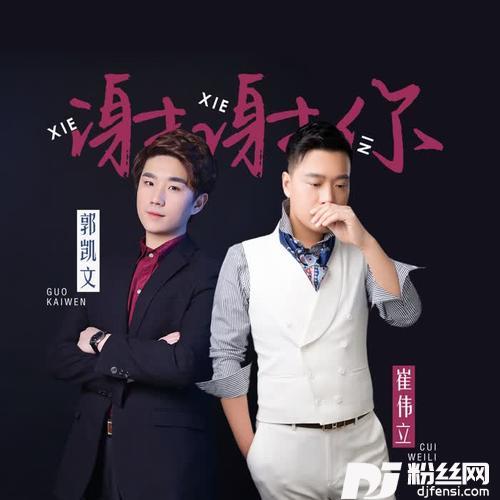 谢谢你DJ何鹏版