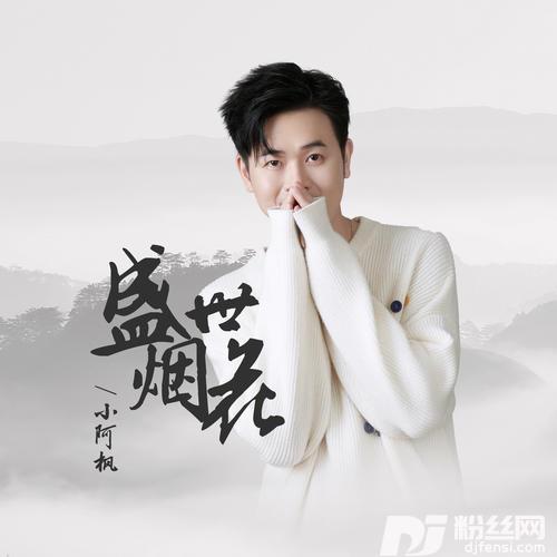 盛世烟花的专辑图片