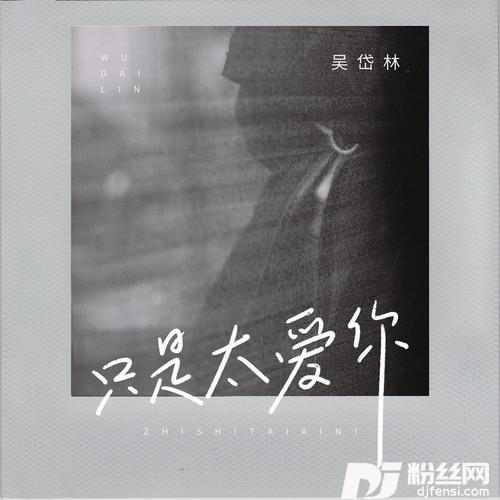 只是太爱你的专辑图片