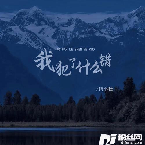 我犯了什么错