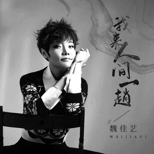 我来人间一趟的专辑
