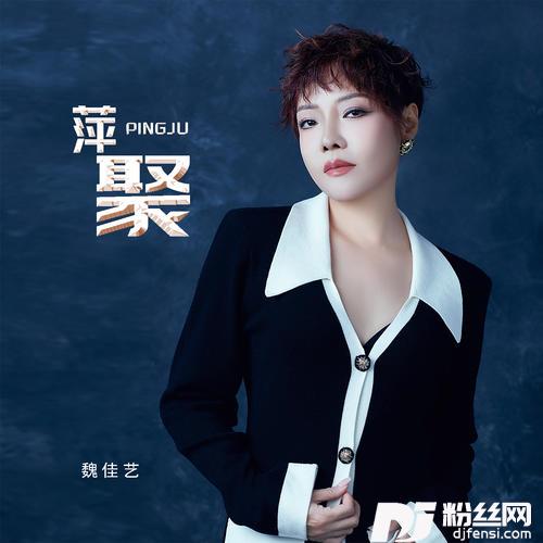 萍聚的专辑图片