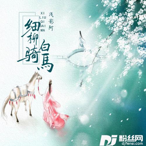 细柳骑白马的专辑