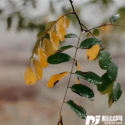 你就是我的风景1.2x版|SingleVersion的专辑