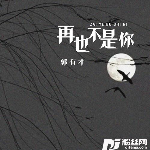 再也不是你的专辑图片