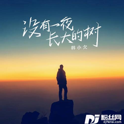 没有一夜长大的树的专辑图片