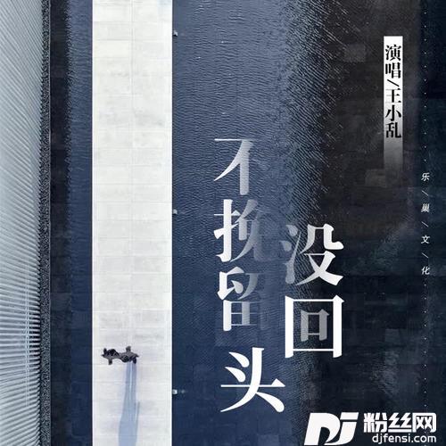 不挽留没回头的专辑