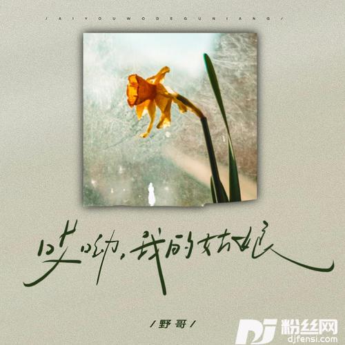 哎呦我的姑娘DJ豪大大版的专辑