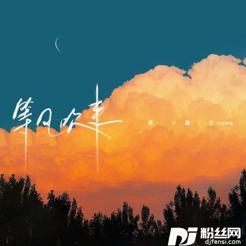 等风吹来