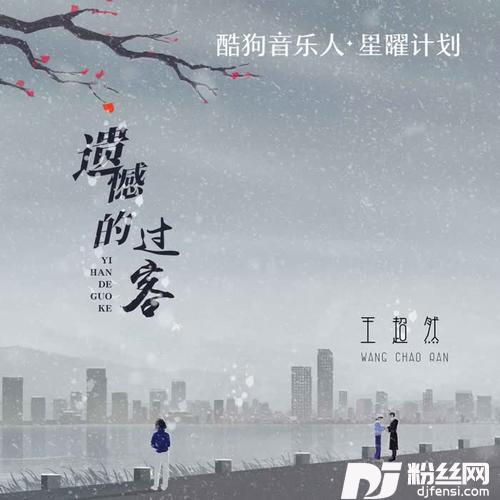遗憾的过客的专辑