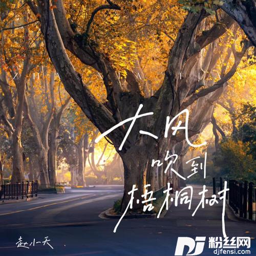 大风吹到梧桐树的专辑