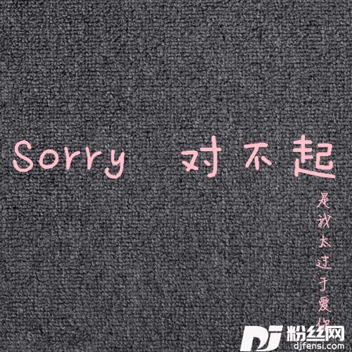 Sorry对不起的专辑