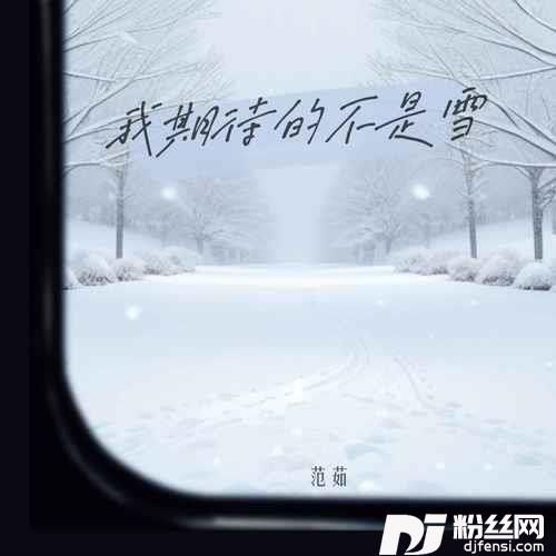 我期待的不是雪
