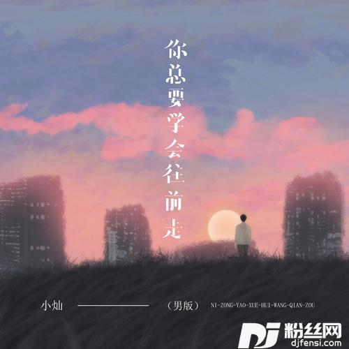 你总要学会往前走男版的专辑图片