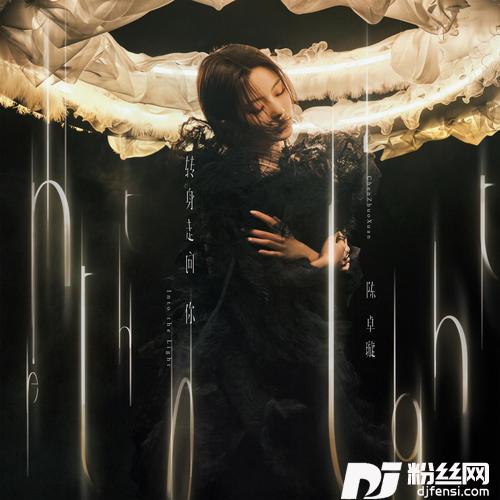 请你的专辑