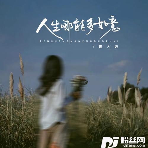 人生哪能多如意