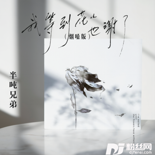 我等到花儿也谢了烟嗓版的专辑图片