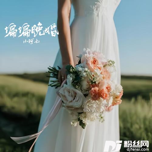 偏偏晚婚的专辑图片