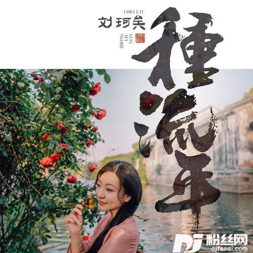 种流年的专辑图片