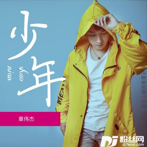 少年男声版的专辑