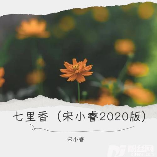 羡慕风羡慕雨