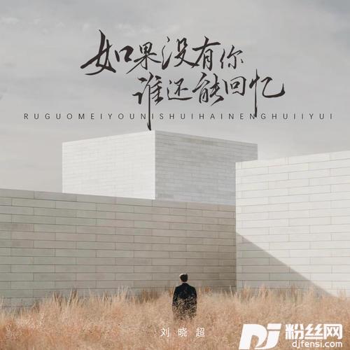 如果没有你谁还能有回忆DJ阿哲版