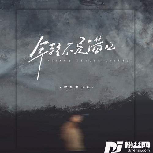 年轻不是借口的专辑