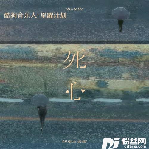 死心的专辑