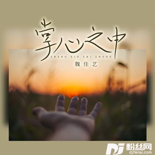 掌心之中的专辑