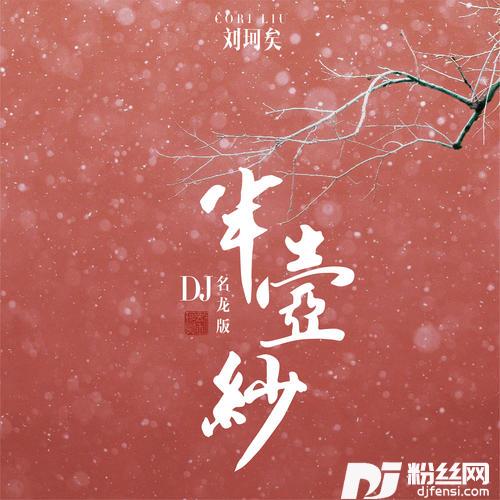 半壶纱DJ名龙版的专辑
