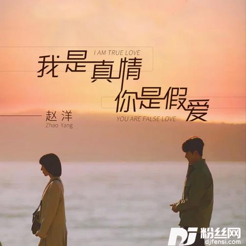我是真情你是假爱的专辑图片