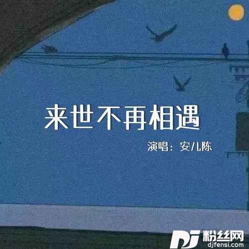 来世不再相遇的专辑图片