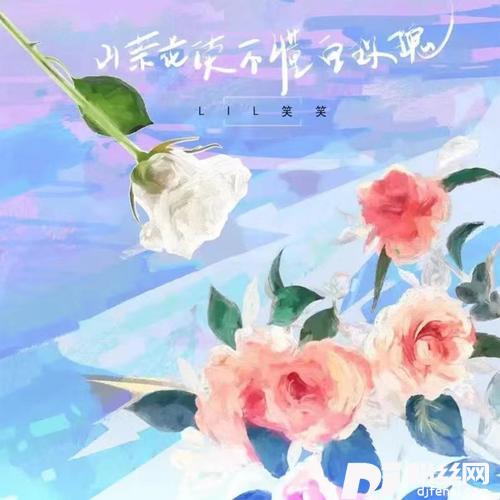 山茶花读不懂白玫瑰