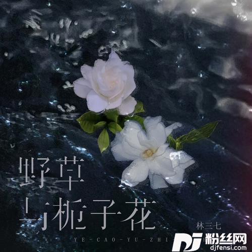 野草与栀子花