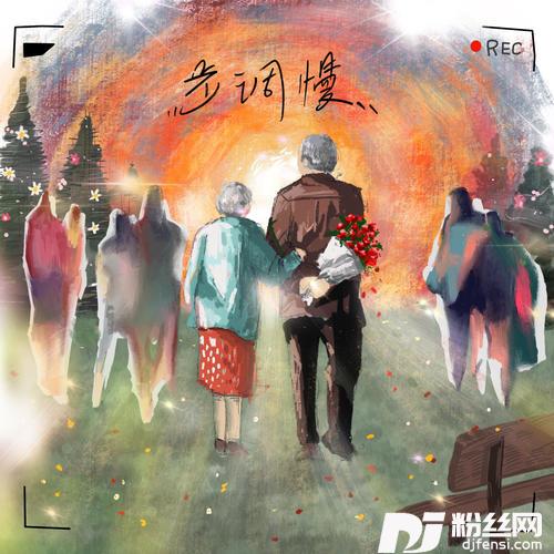 步调慢的专辑