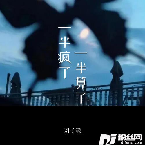 一半疯了一半算了的专辑图片