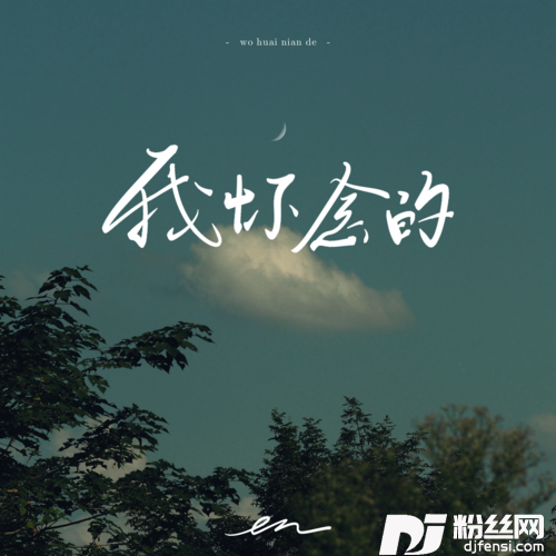 我怀念的的专辑