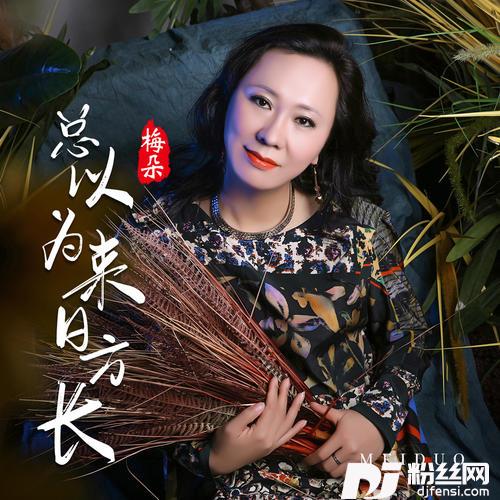 总以为来日方长的专辑